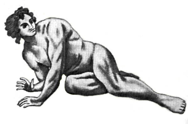 Иллюстрация к книге — Ломоносов [i_025.jpg]