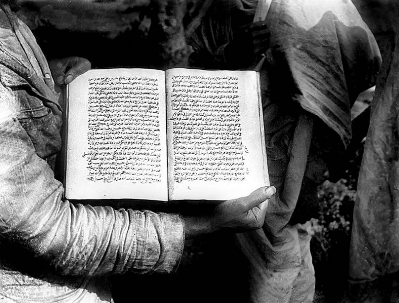 Иллюстрация к книге — Зодчий. Жизнь Николая Гумилева [i_071.jpg]