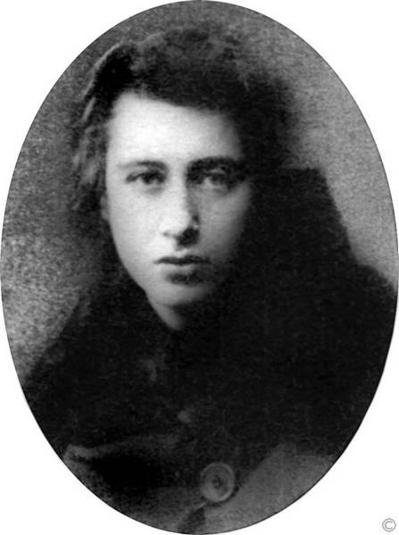 Иллюстрация к книге — Зодчий. Жизнь Николая Гумилева [i_162.jpg]