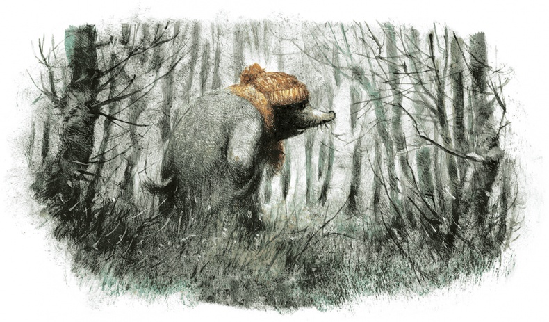 Иллюстрация к книге — Ветер в ивах [i_028.jpg]