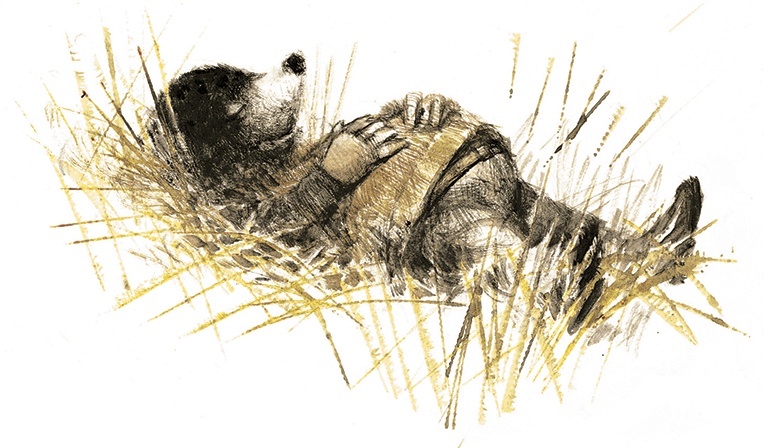 Иллюстрация к книге — Ветер в ивах [i_066.jpg]