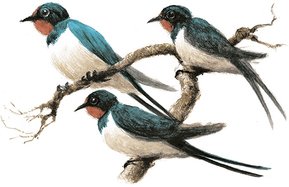 Иллюстрация к книге — Ветер в ивах [i_088.jpg]