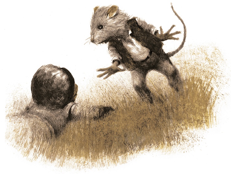 Иллюстрация к книге — Ветер в ивах [i_107.jpg]