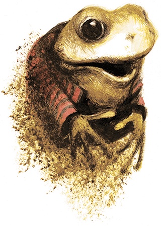 Иллюстрация к книге — Ветер в ивах [i_126.jpg]