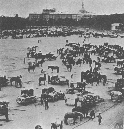 Иллюстрация к книге — Первая мировая в 211 эпизодах [i_020.jpg]