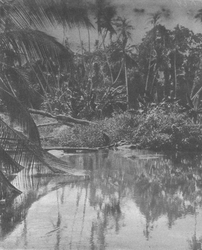 Иллюстрация к книге — Первая мировая в 211 эпизодах [i_041.jpg]