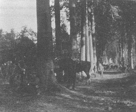 Иллюстрация к книге — Первая мировая в 211 эпизодах [i_060.jpg]