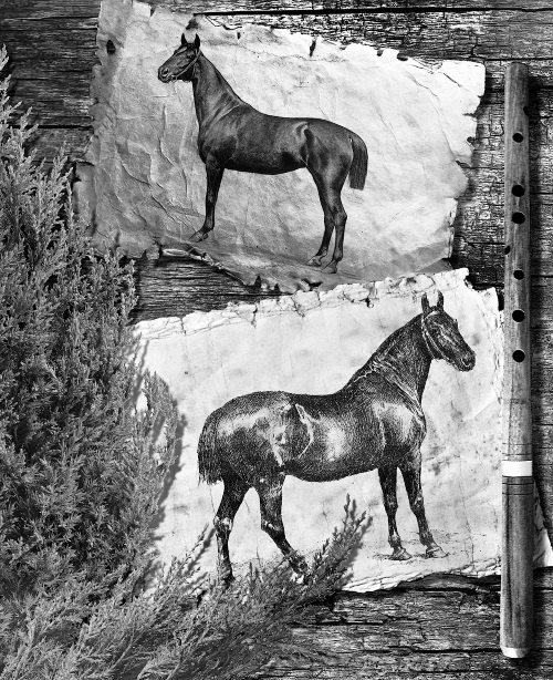 Иллюстрация к книге — Мафтей: книга, написанная сухим пером [i_008.jpg]