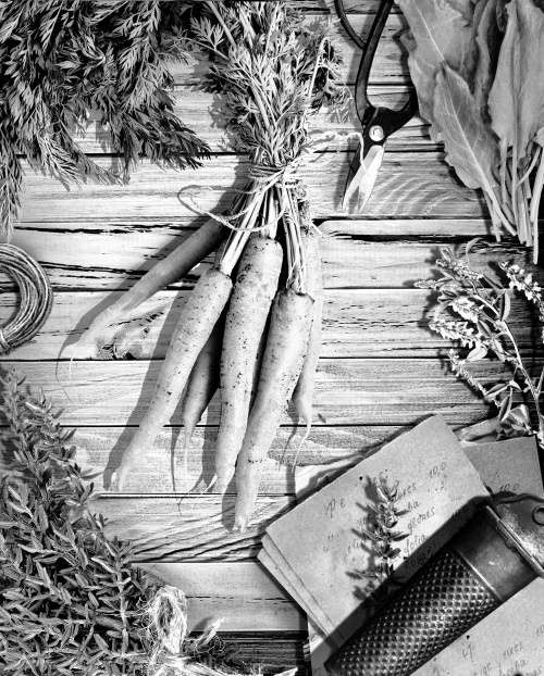 Иллюстрация к книге — Мафтей: книга, написанная сухим пером [i_019.jpg]