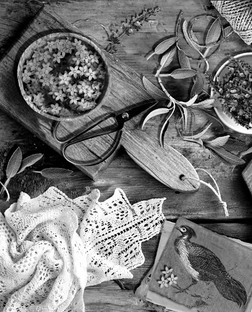 Иллюстрация к книге — Мафтей: книга, написанная сухим пером [i_023.jpg]