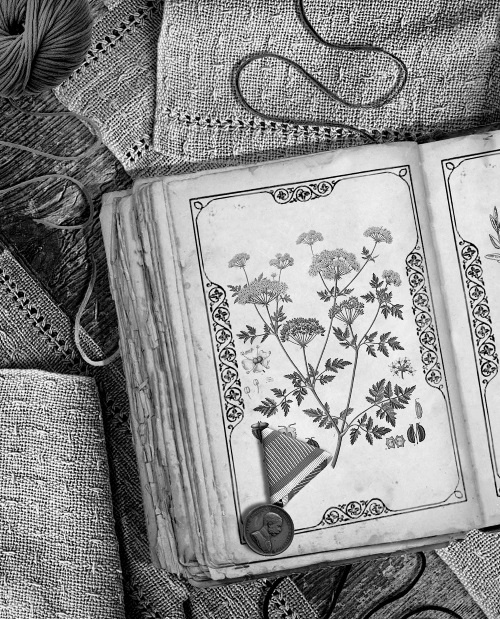 Иллюстрация к книге — Мафтей: книга, написанная сухим пером [i_025.jpg]