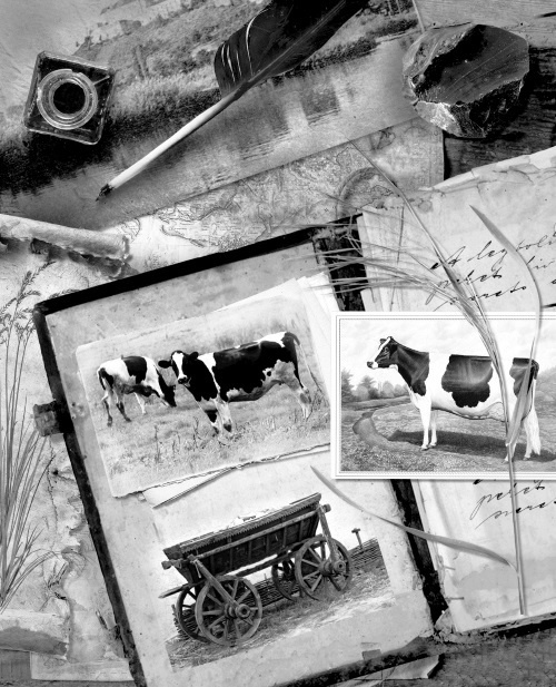 Иллюстрация к книге — Мафтей: книга, написанная сухим пером [i_033.jpg]