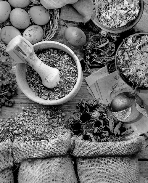 Иллюстрация к книге — Мафтей: книга, написанная сухим пером [i_034.jpg]