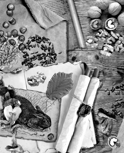 Иллюстрация к книге — Мафтей: книга, написанная сухим пером [i_042.jpg]