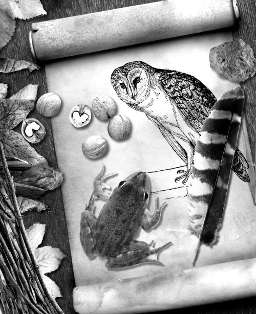 Иллюстрация к книге — Мафтей: книга, написанная сухим пером [i_043.jpg]