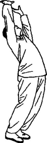 Иллюстрация к книге — Цигун для начинающих [i_018.jpg]