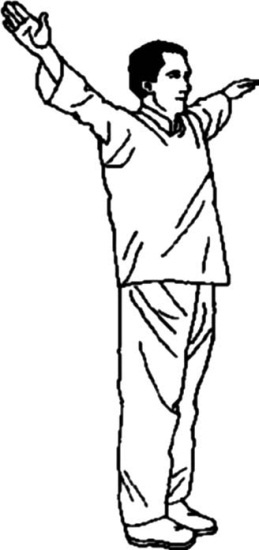 Иллюстрация к книге — Цигун для начинающих [i_019.jpg]