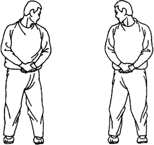 Иллюстрация к книге — Цигун для начинающих [i_026.jpg]