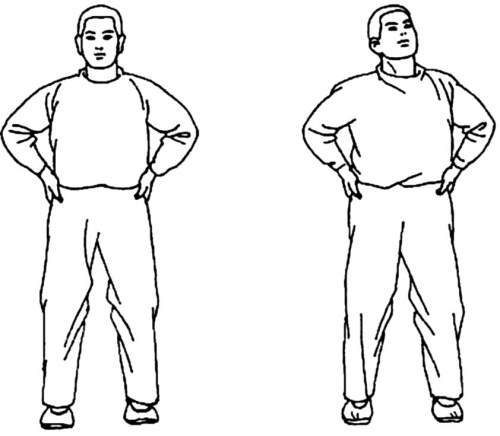 Иллюстрация к книге — Цигун для начинающих [i_029.jpg]