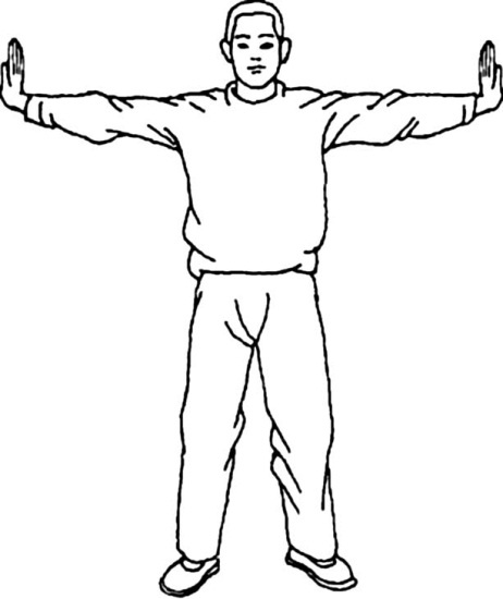 Иллюстрация к книге — Цигун для начинающих [i_047.jpg]