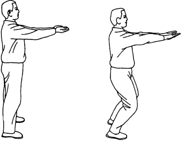 Иллюстрация к книге — Цигун для начинающих [i_050.jpg]