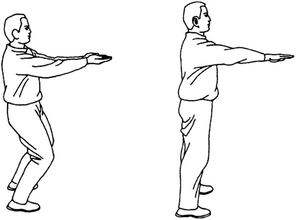 Иллюстрация к книге — Цигун для начинающих [i_051.jpg]