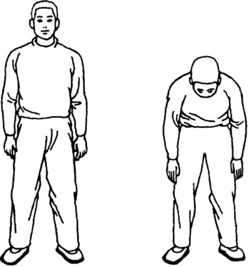 Иллюстрация к книге — Цигун для начинающих [i_053.jpg]