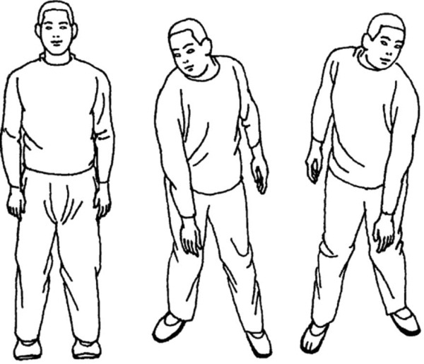 Иллюстрация к книге — Цигун для начинающих [i_055.jpg]