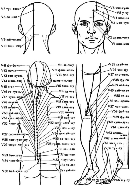 Иллюстрация к книге — Цигун для начинающих [i_082.jpg]