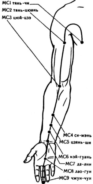 Иллюстрация к книге — Цигун для начинающих [i_084.jpg]