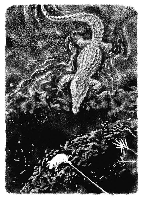 Иллюстрация к книге — Пангапу, или Статуэтка богини Кали [i_001.jpg]