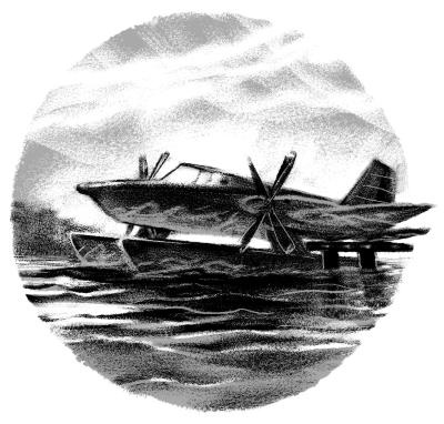 Иллюстрация к книге — Пангапу, или Статуэтка богини Кали [i_021.jpg]