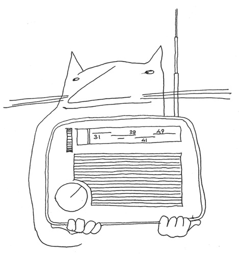 Иллюстрация к книге — Не первое лирическое отступление от правил [i_027.jpg]