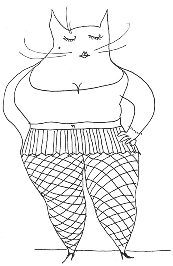 Иллюстрация к книге — Не первое лирическое отступление от правил [i_028.jpg]