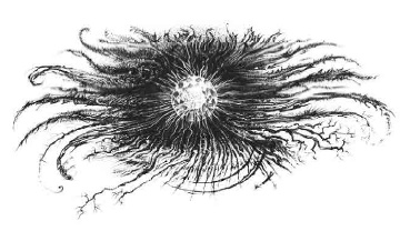 Иллюстрация к книге — Путешествие в полночь [i_015.jpg]