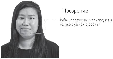 Иллюстрация к книге — Наука общения. Как читать эмоции, понимать намерения и находить общий язык с людьми [i_052.jpg]