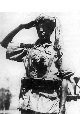 Иллюстрация к книге — Итальянская армия. 1940 - 1943. Африканский театр военных действий [i_005.jpg]