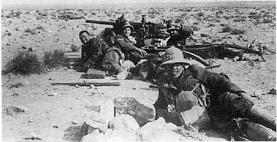 Иллюстрация к книге — Итальянская армия. 1940 - 1943. Африканский театр военных действий [i_007.jpg]