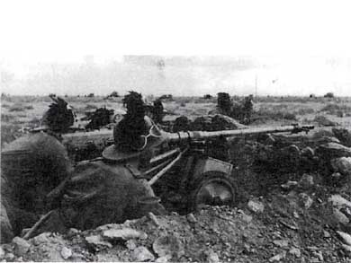 Иллюстрация к книге — Итальянская армия. 1940 - 1943. Африканский театр военных действий [i_008.jpg]