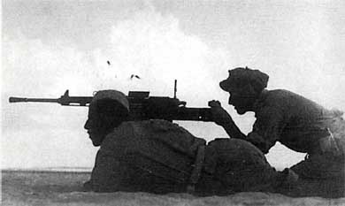 Иллюстрация к книге — Итальянская армия. 1940 - 1943. Африканский театр военных действий [i_014.jpg]