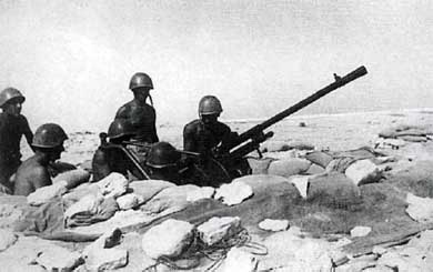 Иллюстрация к книге — Итальянская армия. 1940 - 1943. Африканский театр военных действий [i_016.jpg]