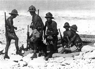 Иллюстрация к книге — Итальянская армия. 1940 - 1943. Африканский театр военных действий [i_040.jpg]