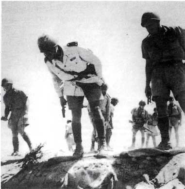 Иллюстрация к книге — Итальянская армия. 1940 - 1943. Африканский театр военных действий [i_041.jpg]