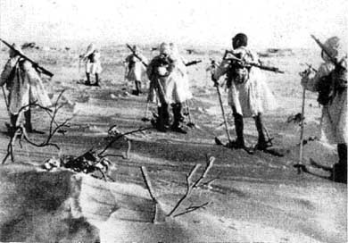 Иллюстрация к книге — Японская армия. 1942-1945 [i_006.jpg]