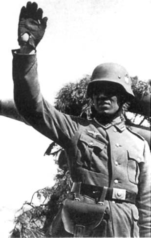 Иллюстрация к книге — Немецкая армия 1939-1940 [any2fbimgloader47.jpg]