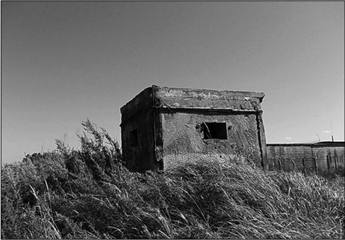 Иллюстрация к книге — Все укрепрайоны и оборонительные линии Второй Мировой [i_060.jpg]