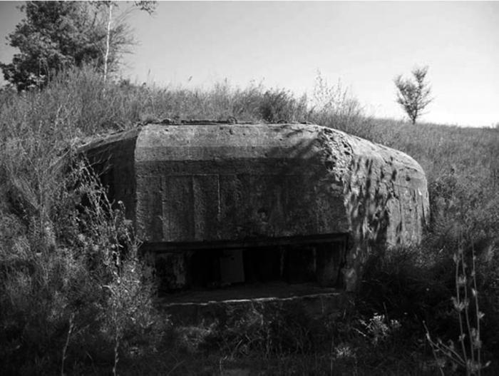 Иллюстрация к книге — Все укрепрайоны и оборонительные линии Второй Мировой [i_063.jpg]