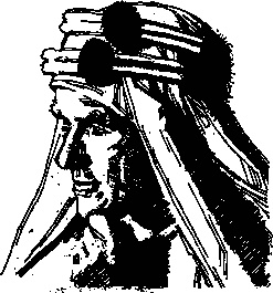 Иллюстрация к книге — Разведчики и шпионы [_025.jpg]