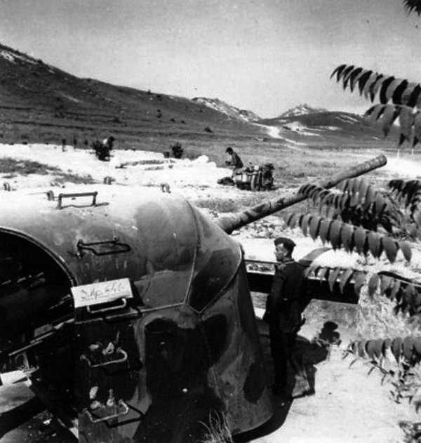 Иллюстрация к книге — Первый штурм Севастополя. Ноябрь 41-го [i_006.jpg]