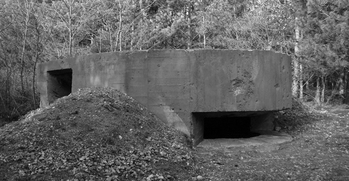 Иллюстрация к книге — Первый штурм Севастополя. Ноябрь 41-го [i_047.jpg]